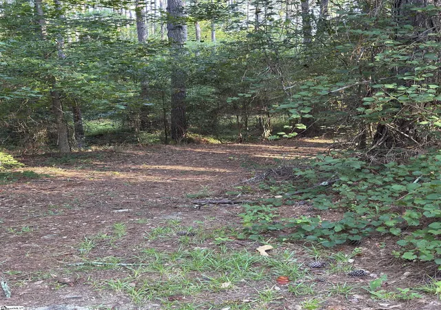 Photo 3 of Land for sale at 890 Dunklin Bridge Rd, Fountain Inn, SC 29644 | MLS# 1597278 | Listing updated on 2026-07-15