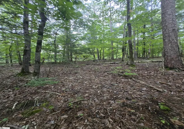 Photo 3 of Land for sale at Lot 24a Dockside Dr #Lot 24A, Iva, SC 29655 | MLS# 1566759 | Listing updated on 2026-07-10