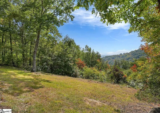 37th image of 100 Eagle Rock Rd, Landrum, SC 29356 | MLS# 1589388