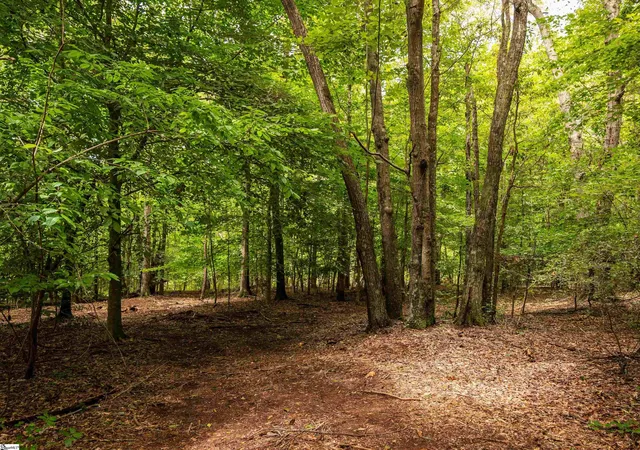 Homes for sale in Townville, SC | 00 Pinetree Rd, Townville, SC 29689 | MLS# 1586479