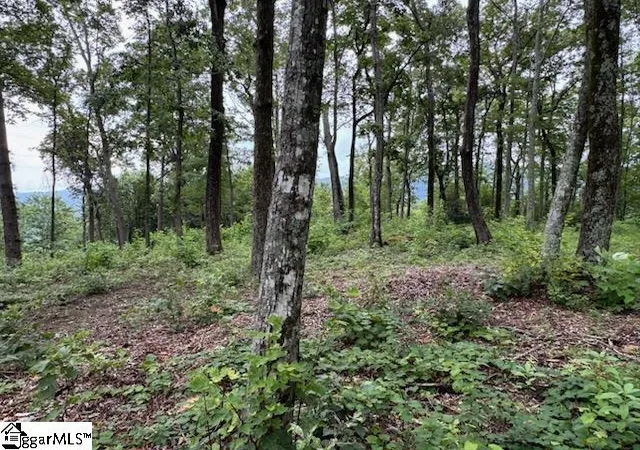 Photo 3 of Land for sale at 1534 Panther Park Trl, Travelers Rest, SC 29690 | MLS# 1569221 | Listing updated on 2026-10-22