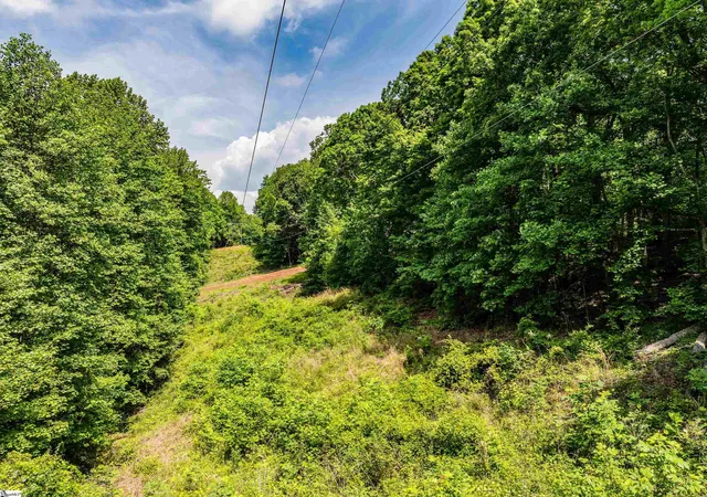 Homes for sale in Travelers Rest, SC | 67 Wildflower Ln, Travelers Rest, SC 29690 | MLS# 1528192