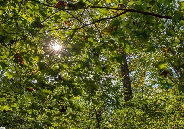 Photo 4 of Land for sale at 00 Lafrance Rd, Anderson, SC 29625 | MLS# 1598524 | Listing updated on 2026-09-11