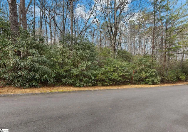Photo 3 of Land for sale at 204 Conifer Falls Rd, Cleveland, SC 29635 | MLS# 1602106 | Listing updated on 2026-08-27