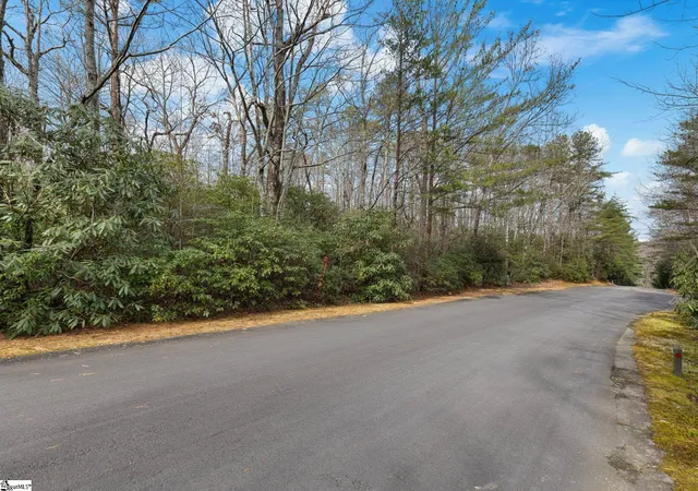 Photo 4 of Land for sale at 204 Conifer Falls Rd, Cleveland, SC 29635 | MLS# 1602106 | Listing updated on 2026-08-27