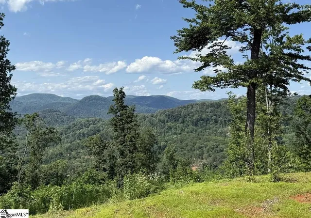 10th image of 200 Chestnut Mountain Rd, Travelers Rest, SC 29690 | MLS# 1587438
