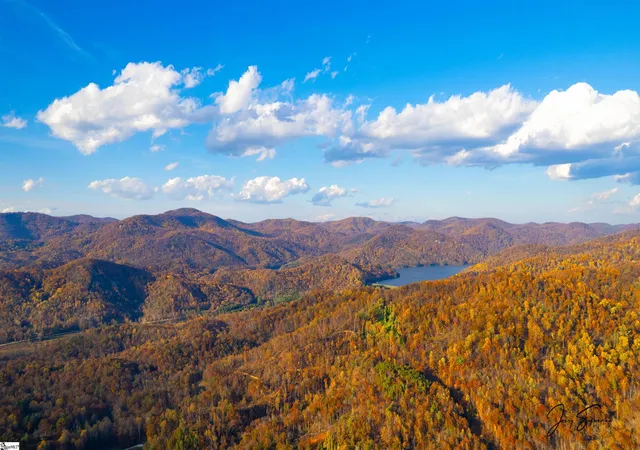 4th image of 200 Chestnut Mountain Rd, Travelers Rest, SC 29690 | MLS# 1587438