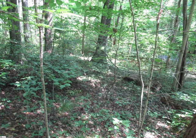 Photo 1 of Land for sale at 00 Gauley Falls Rd #Lot 13 Gauley Falls, Pickens, SC 29671 | MLS# 1598483 | Listing updated on 2026-07-22