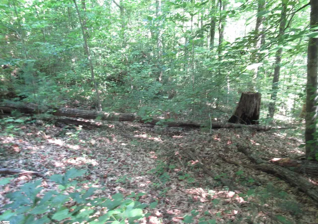 Photo 2 of Land for sale at 00 Gauley Falls Rd #Lot 13 Gauley Falls, Pickens, SC 29671 | MLS# 1598483 | Listing updated on 2026-07-22