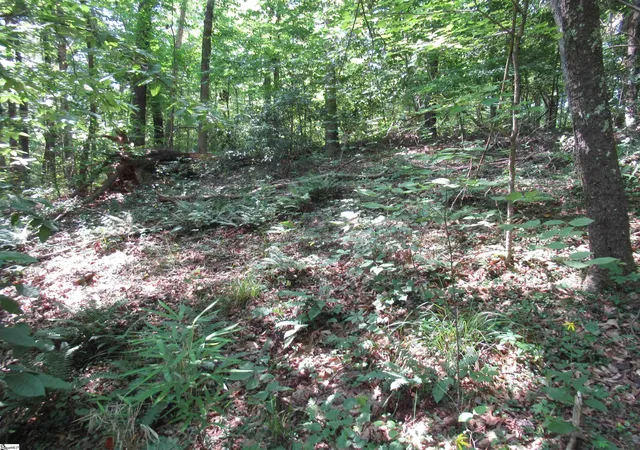 Photo 3 of Land for sale at 00 Gauley Falls Rd #Lot 13 Gauley Falls, Pickens, SC 29671 | MLS# 1598483 | Listing updated on 2026-07-22
