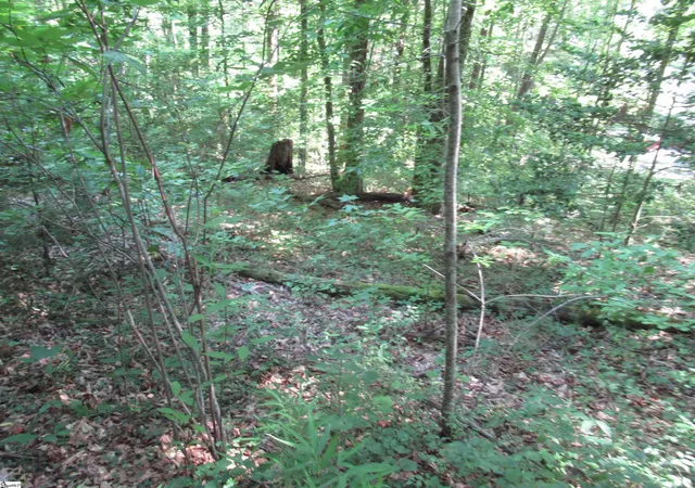 Photo 3 of Land for sale at 00 Gauley Falls Rd #Lot 13 Gauley Falls, Pickens, SC 29671 | MLS# 1598483 | Listing updated on 2026-07-22