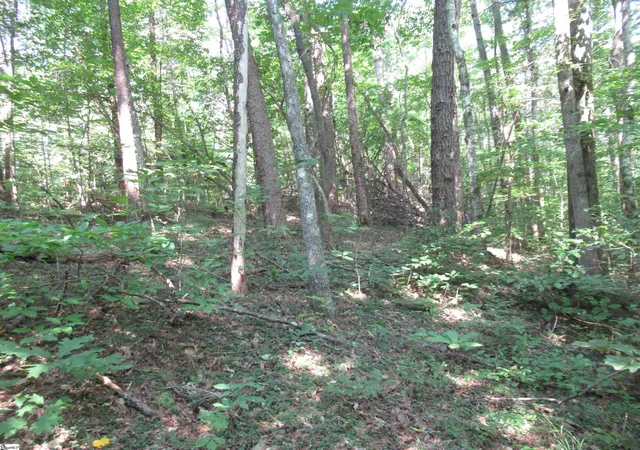 Photo 4 of Land for sale at 00 Gauley Falls Rd #Lot 13 Gauley Falls, Pickens, SC 29671 | MLS# 1598483 | Listing updated on 2026-07-22