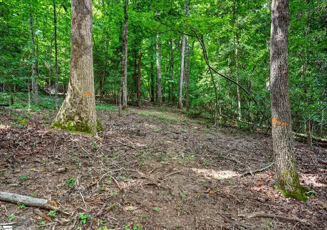 Photo 3 of Land for sale at 00 Mcfalls Cir, Anderson, SC 29627 | MLS# 1601653 | Listing updated on 2026-08-26