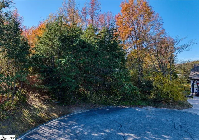 3rd image of 7 Grenoble Ct, Greenville, SC 29609 | MLS# 1574872