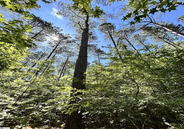 Photo 1 of Land for sale at 013 Sc   413 Hwy, Anderson, SC 29621 | MLS# 1595660 | Listing updated on 2026-09-02