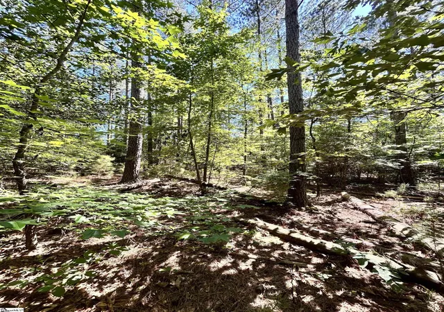 Photo 2 of Land for sale at 013 Sc   413 Hwy, Anderson, SC 29621 | MLS# 1595660 | Listing updated on 2026-09-02