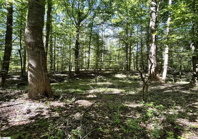 Photo 3 of Land for sale at 013 Sc   413 Hwy, Anderson, SC 29621 | MLS# 1595660 | Listing updated on 2026-09-02