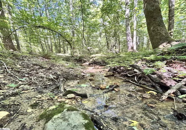 Photo 3 of Land for sale at 013 Sc - 413 Hwy, Anderson, SC 29621 | MLS# 1595660 | Listing updated on 2026-09-02