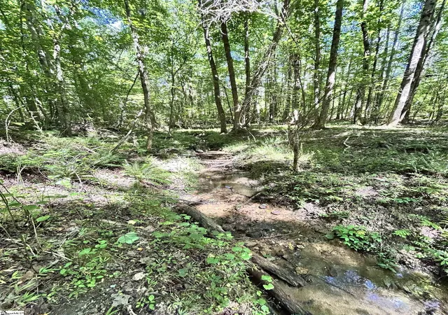 Photo 4 of Land for sale at 013 Sc - 413 Hwy, Anderson, SC 29621 | MLS# 1595660 | Listing updated on 2026-09-02