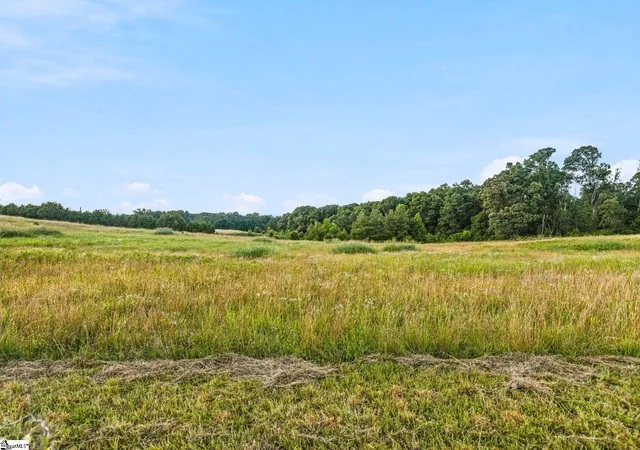 Land for sale at 00 Indian Mound Rd, Ware Shoals, SC 29692 | MLS# 1596764