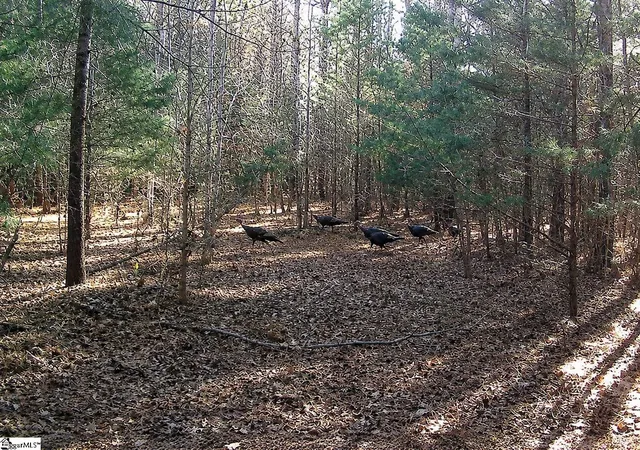 1st image of 0 Simpson Mill Rd, Laurens, SC 29360 | MLS# 1594046