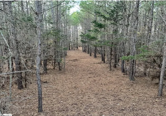 20th image of 0 Simpson Mill Rd, Laurens, SC 29360 | MLS# 1594046