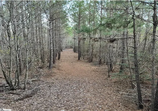 3rd image of 0 Simpson Mill Rd, Laurens, SC 29360 | MLS# 1594046
