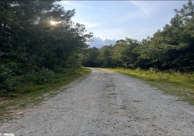 4th image of 0 Simpson Mill Rd, Laurens, SC 29360 | MLS# 1594046
