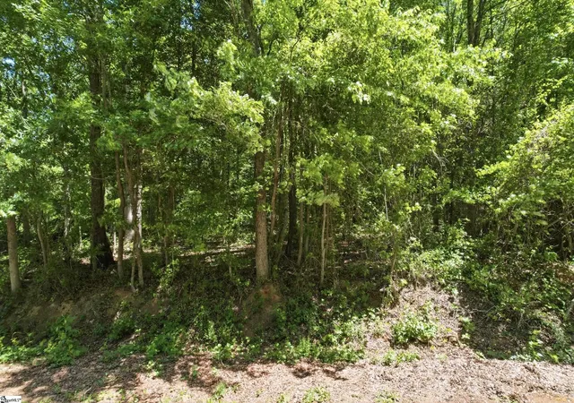 Photo 2 of Land for sale at 0 Perry Rd, Greer, SC 29651 | MLS# 1590035 | Listing updated on 2026-04-30