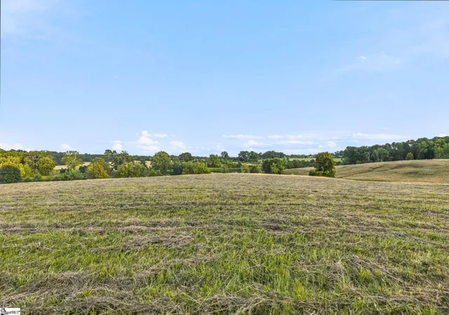 Land for sale at 00 252 Hwy, Ware Shoals, SC 29692 | MLS# 1596765