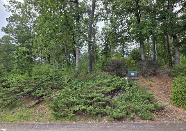Homes for sale in Travelers Rest, SC | 219 Luberon Ln, Travelers Rest, SC 29690 | MLS# 1590382