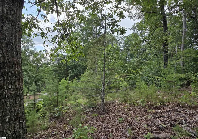 Homes for sale in Travelers Rest, SC | 219 Luberon Ln, Travelers Rest, SC 29690 | MLS# 1590382