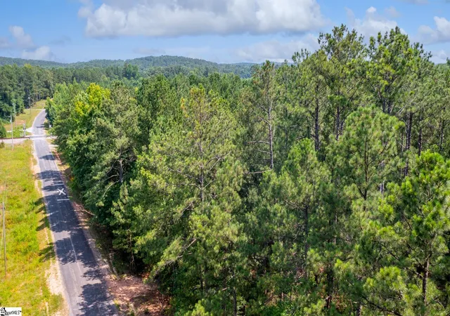 Homes for sale in Clinton, SC | 0 Stomp Springs Rd, Clinton, SC 29325 | MLS# 1596693