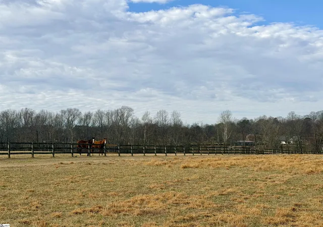 5th image of 00 North Pacolet Rd, Landrum, SC 29356 | MLS# 1582529