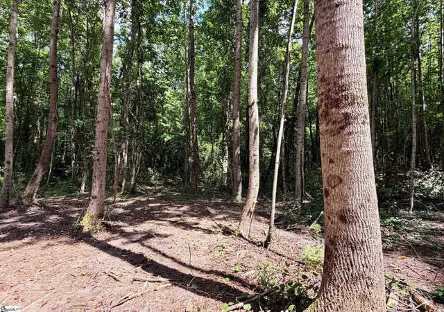 Photo 3 of Land for sale at 3161 Lorenzo Ct, Inman, SC 29349 | MLS# 1593556 | Listing updated on 2026-08-26