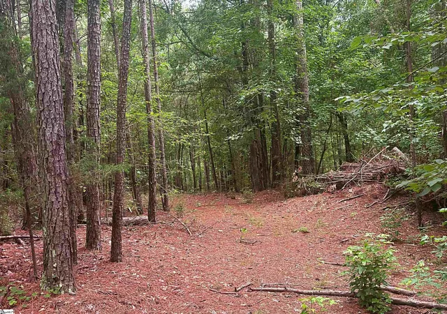 1st image of 0 Harris Springs Rd, Cross Hill, SC 29332 | MLS# 1600247