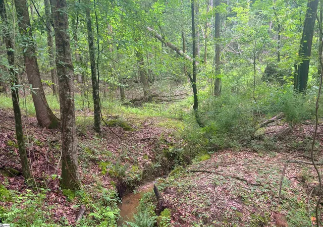 3rd image of 0 Harris Springs Rd, Cross Hill, SC 29332 | MLS# 1600247