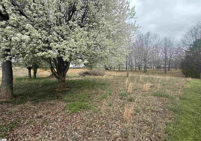 Homes for sale in Greer, SC | 00 Perry Rd, Greer, SC 29651 | MLS# 1584177