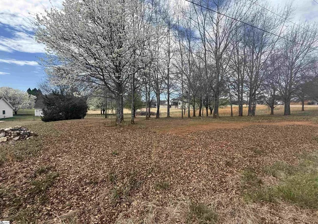 Homes for sale in Greer, SC | 00 Perry Rd, Greer, SC 29651 | MLS# 1584177