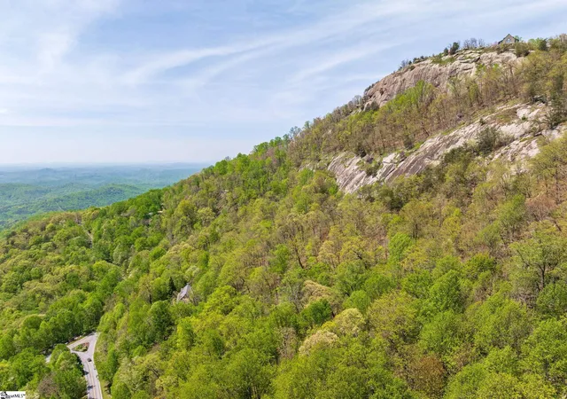 29th image of 809 Plumley Summit Dr, Landrum, SC 29356 | MLS# 1554991