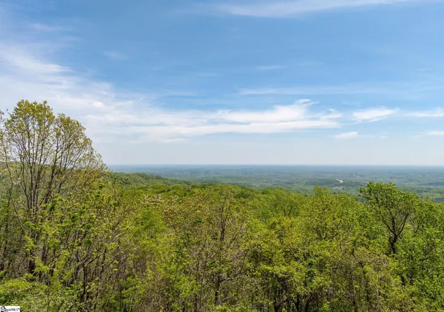 3rd image of 809 Plumley Summit Dr, Landrum, SC 29356 | MLS# 1554991