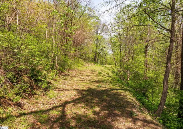 4th image of 809 Plumley Summit Dr, Landrum, SC 29356 | MLS# 1554991