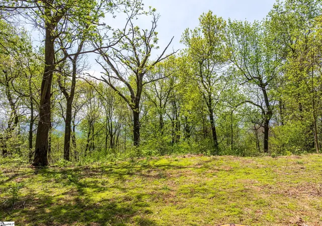 5th image of 809 Plumley Summit Dr, Landrum, SC 29356 | MLS# 1554991