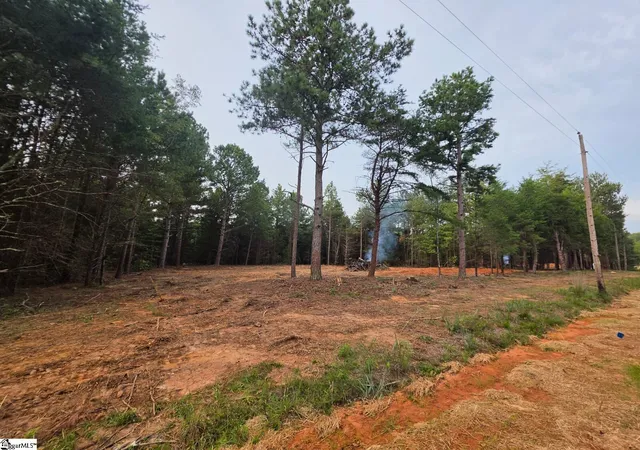 Land for sale at 0 Owens Dr, Laurens, FL 29360 | MLS# 1602154