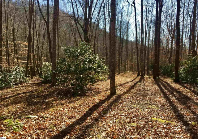Photo 3 of Single family home for sale at 180 Painter Creek Rd, Travelers Rest, SC 29690 | MLS# 1555819 | Listing updated on 2026-09-01