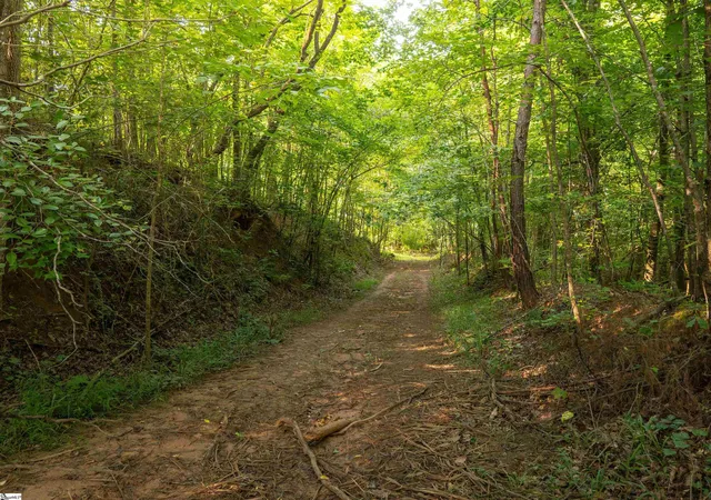 Photo 3 of Land for sale at 00 Crowe Creek Rd #Lot C, Six Mile, SC 29682 | MLS# 1601499 | Listing updated on 2026-09-30