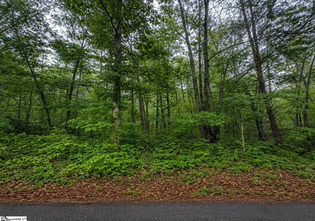 Homes for sale in Travelers Rest, SC | 00 Valley Rd #lot 1, Travelers Rest, SC 29690 | MLS# 1589771