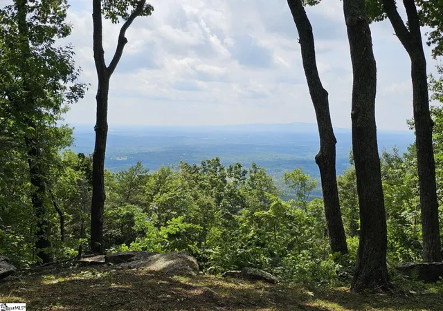 1st image of 101 Southview Ledge Rd, Landrum, SC 29356 | MLS# 1567443