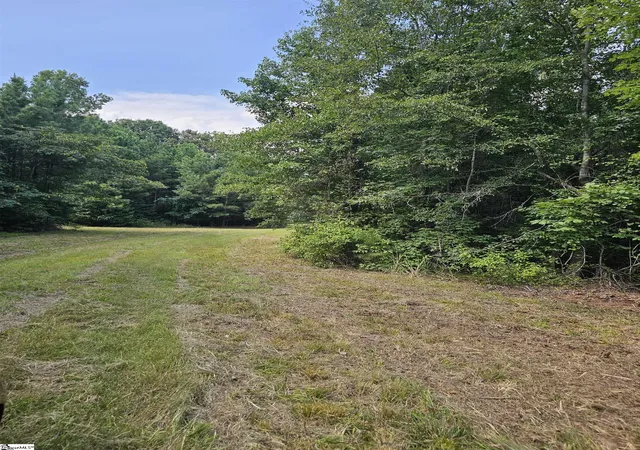 3rd image of 335 Old Ferry Rd, Union, SC 29379 | MLS# 1601066