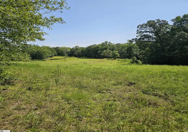4th image of 335 Old Ferry Rd, Union, SC 29379 | MLS# 1601066